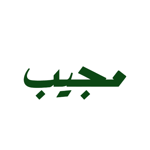 Mujeeb AI Logo